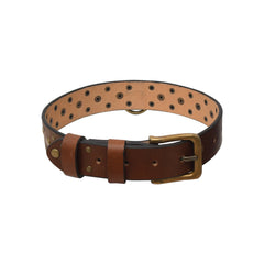 Standard Leather Dog Collar