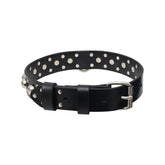 Personalized Leather Standard Dog Collar