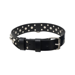 Personalized Leather Standard Dog Collar