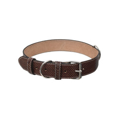 Personalized Leather Martingale Dog Collar
