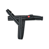 Victory Leather Dog Harness