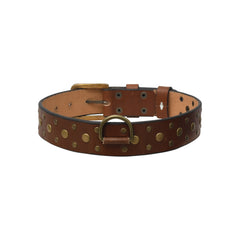 Standard Leather Dog Collar