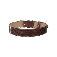 Personalized Leather Martingale Dog Collar
