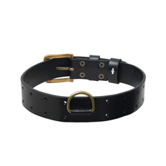 Personalized Leather Hunting Dog Collar