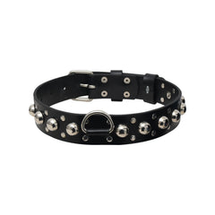 Personalized Leather Standard Dog Collar