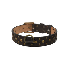 English Bridle Leather Dog Collar