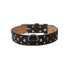 Hunting Leather Dog Collar