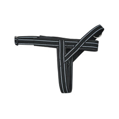 Victory Leather Dog Harness