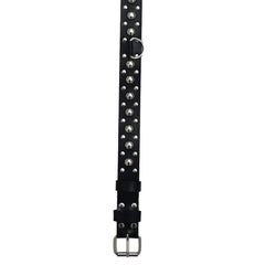 Personalized Leather Standard Dog Collar
