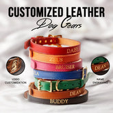 Personalize Dog Gear