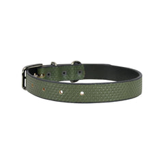 Spike Leather Dog Collar