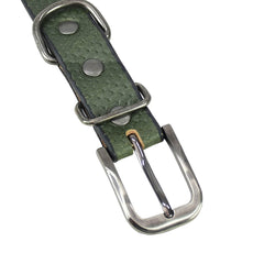 Spike Leather Dog Collar
